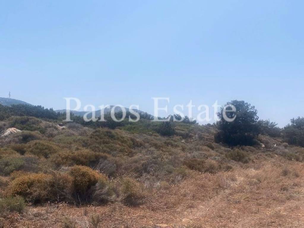 Αγροτεμάχιο