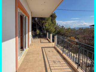 Millennium Real Estate