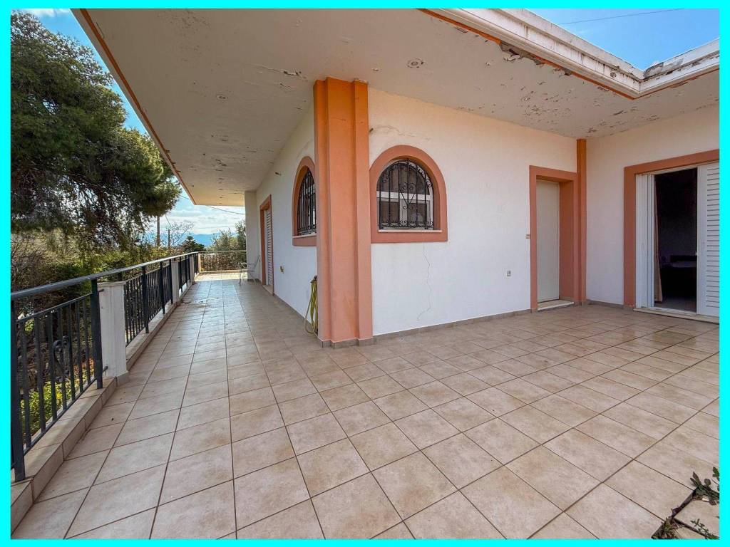 Millennium Real Estate