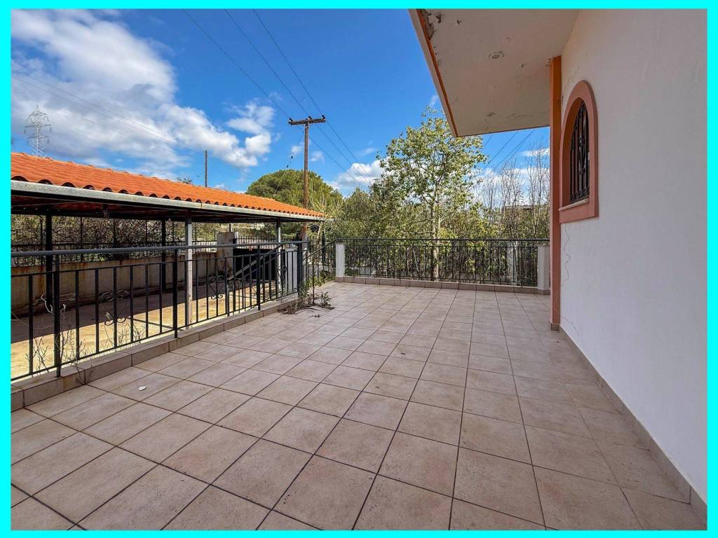 Millennium Real Estate