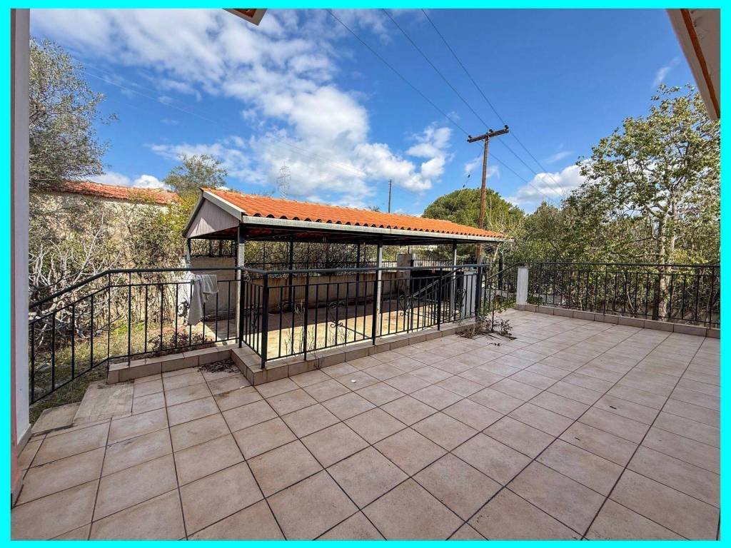 Millennium Real Estate