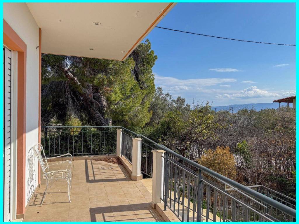 Millennium Real Estate