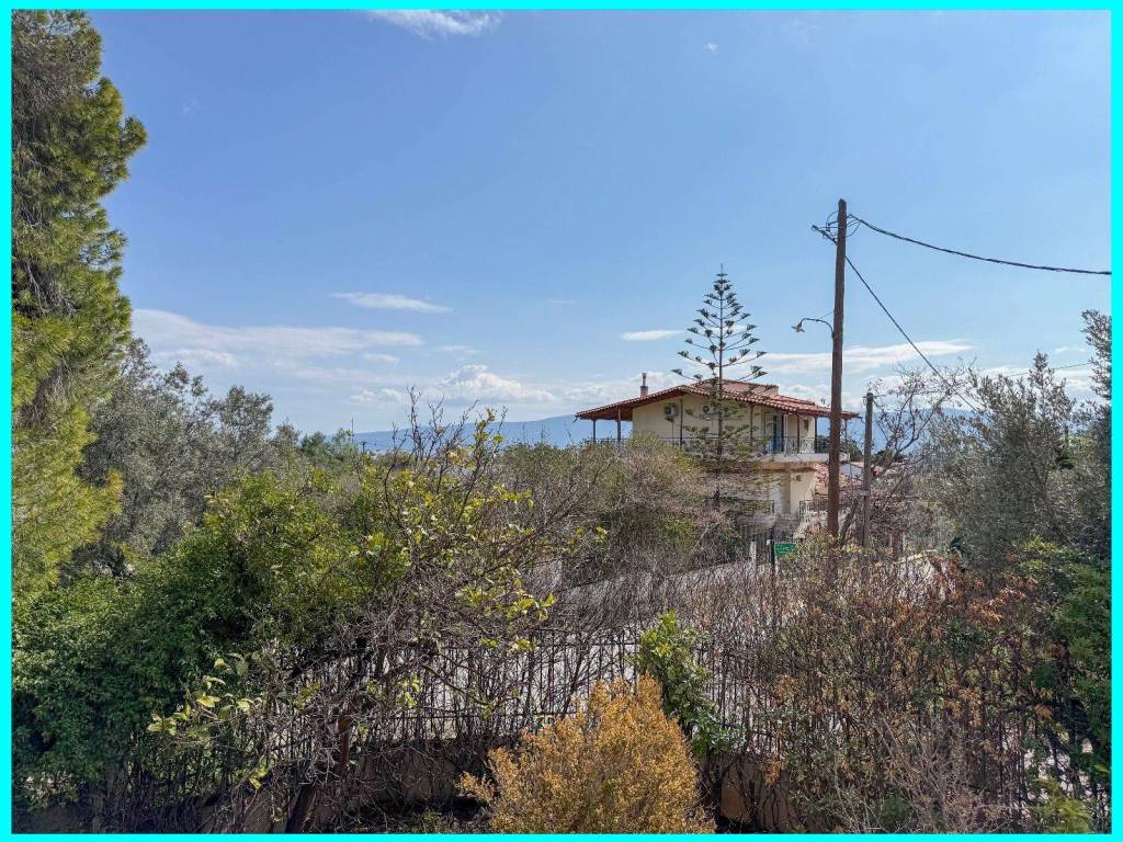 Millennium Real Estate