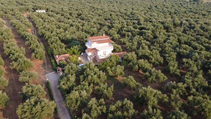 Εσωτερικοι χώροι