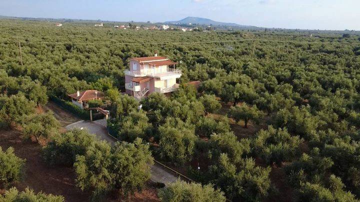 Εσωτερικοι χώροι