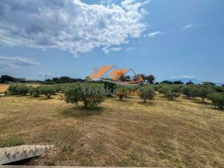 Ύπαρξη ανθρώπου