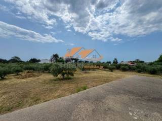 Ύπαρξη ανθρώπου