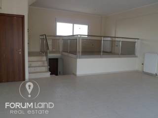 Forumland Real Estate, Σαλόνι