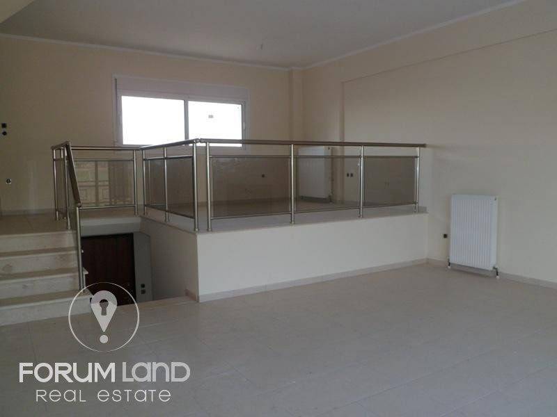 Forumland Real Estate, Σαλόνι