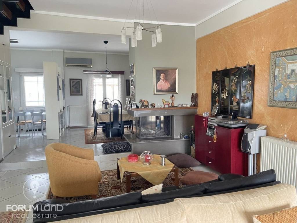 Forumland Real Estate, Σαλόνι με τζάκι