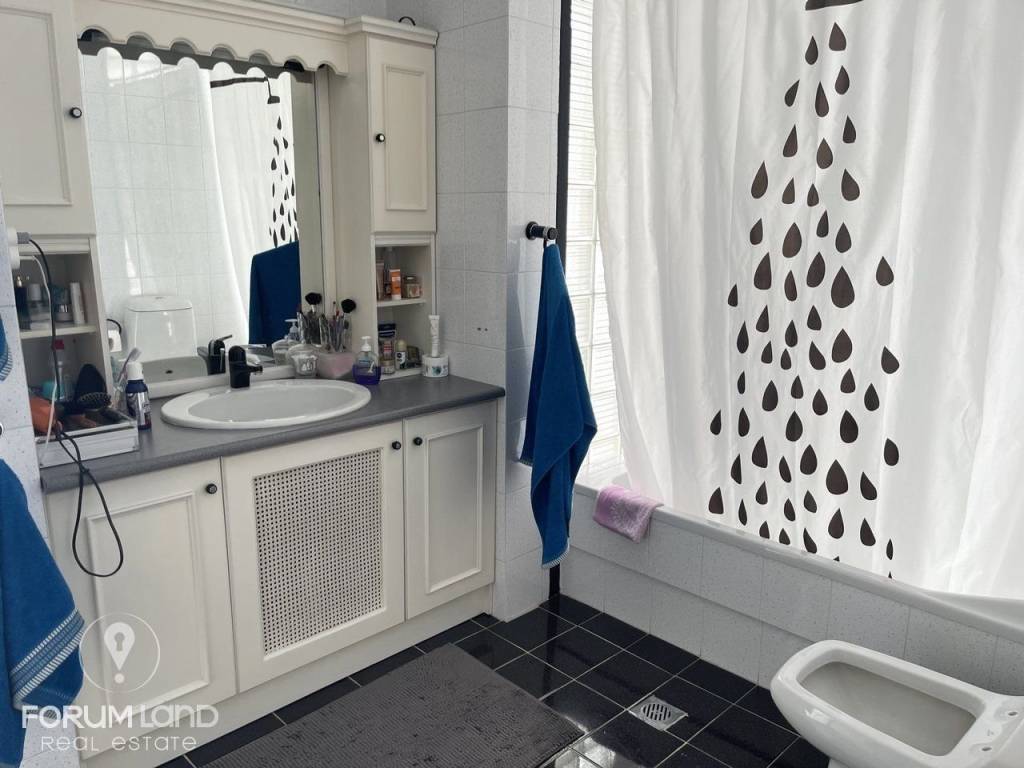 Forumland Real Estate, Mpanio