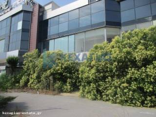 ΕΞΩΤΕΡΙΚΗ ΟΨΗ