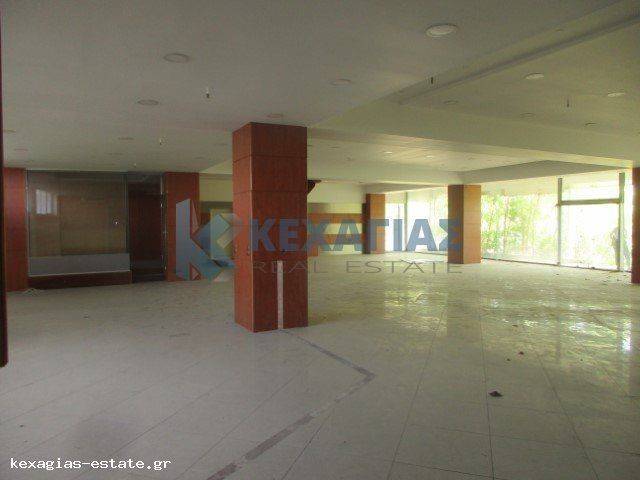 ΕΣΩΤΕΡΙΚΗ ΛΗΨΗ