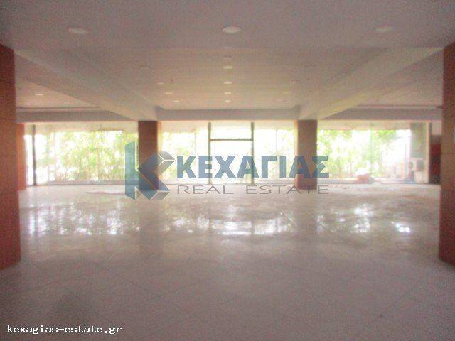 ΕΣΩΤΕΡΙΚΗ ΛΗΨΗ