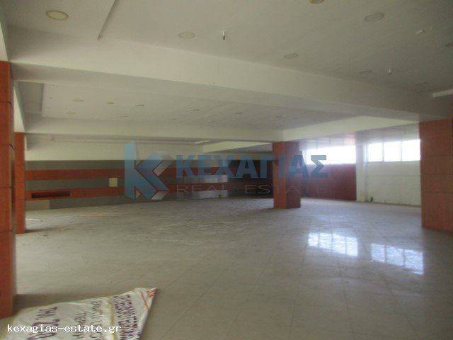 ΕΣΩΤΕΡΙΚΗ ΛΗΨΗ