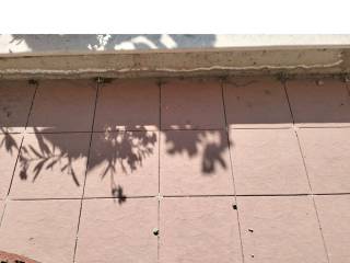 ΤΗΛΕΦΩΝΟ ΕΠΙΚΟΙΝΩΝΙΑΣ : 2310765495 // 6987494959  ΚΑΡΑΟΥΛΑΝΗ