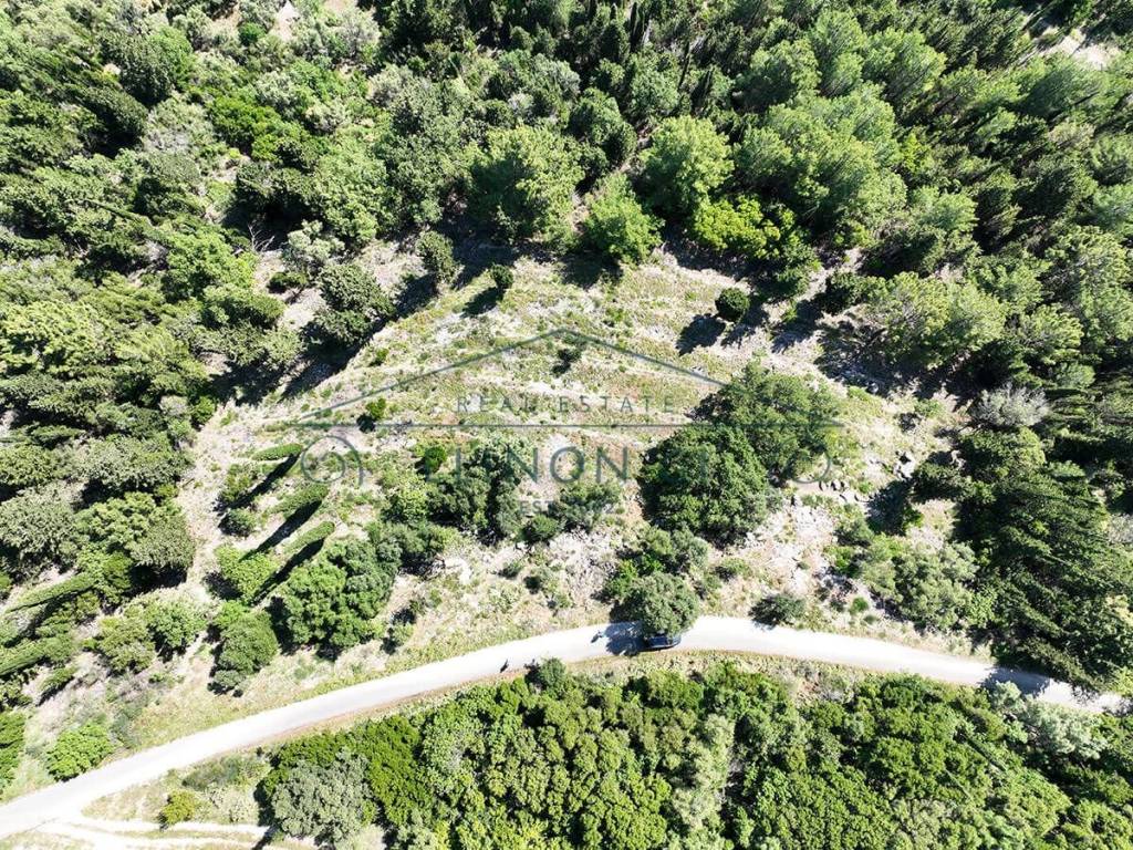 To agrotemachio apo psela