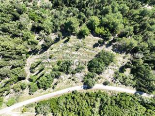 To agrotemachio apo psela