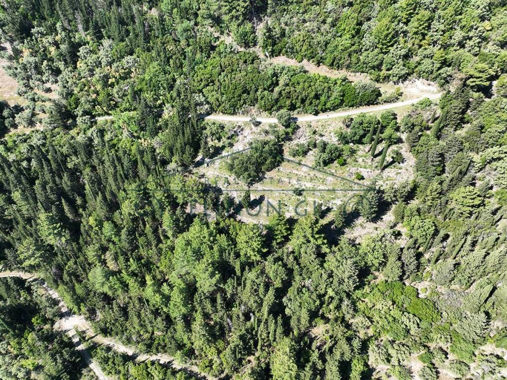 To agrotemachio apo psela