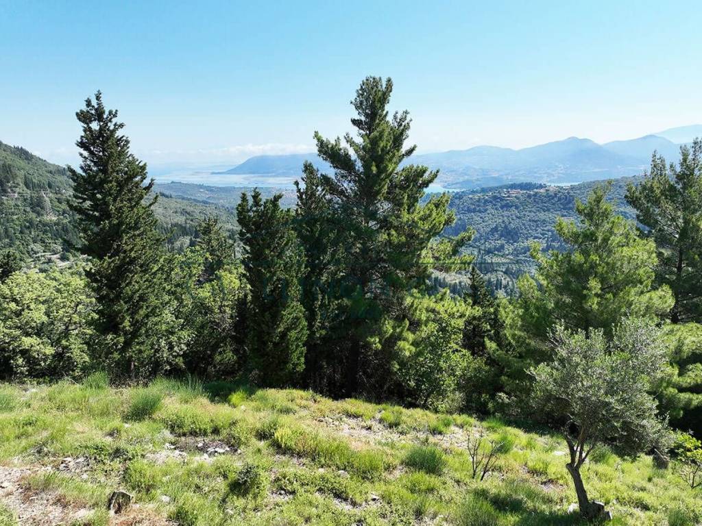 Η θέα από το αγροτεμάχιο