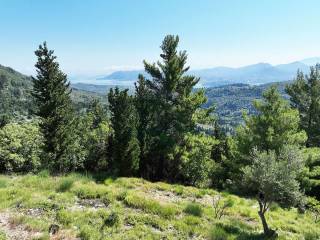 Η θέα από το αγροτεμάχιο