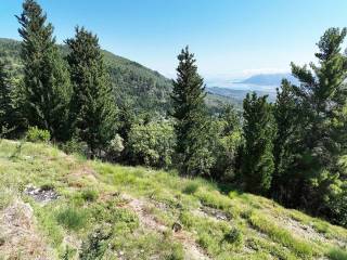 Η θέα από το αγροτεμάχιο