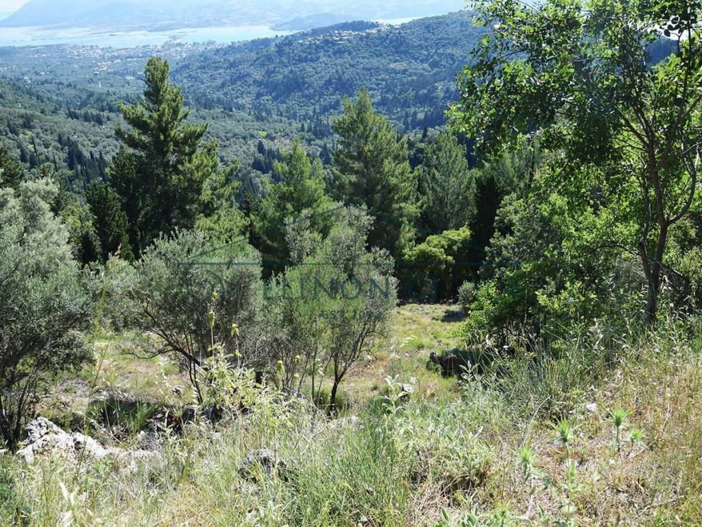 Η θέα από το αγροτεμάχιο