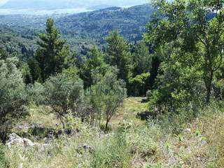 Η θέα από το αγροτεμάχιο