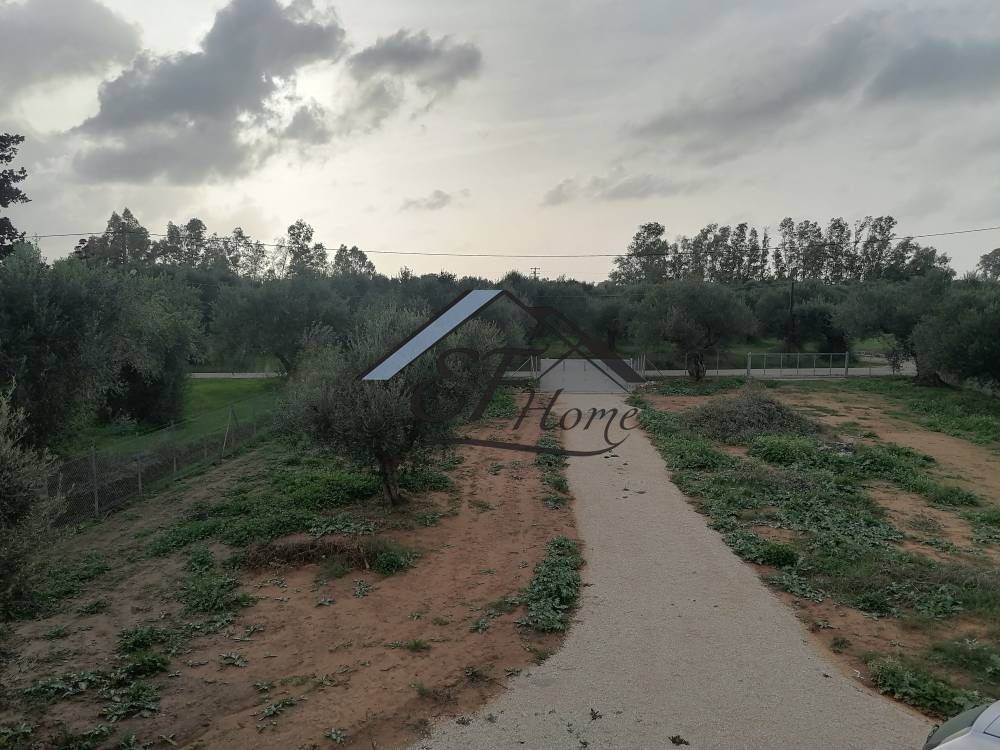 Οικόπεδο Ακινήτου