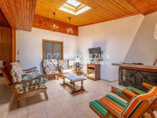 Σαλοκουζίνα