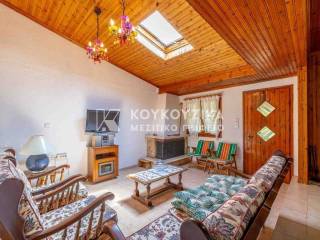 Σαλοκουζίνα