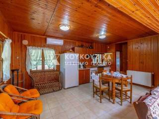 Σαλοκουζίνα