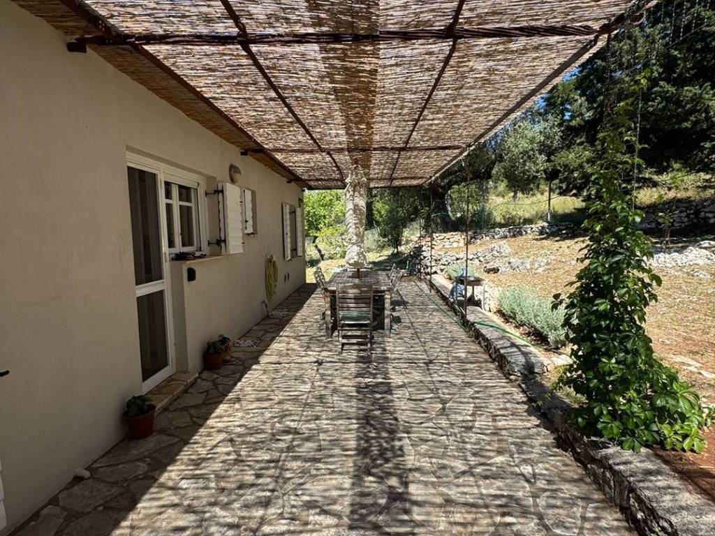Pergola at the back of the house