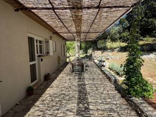 Pergola at the back of the house
