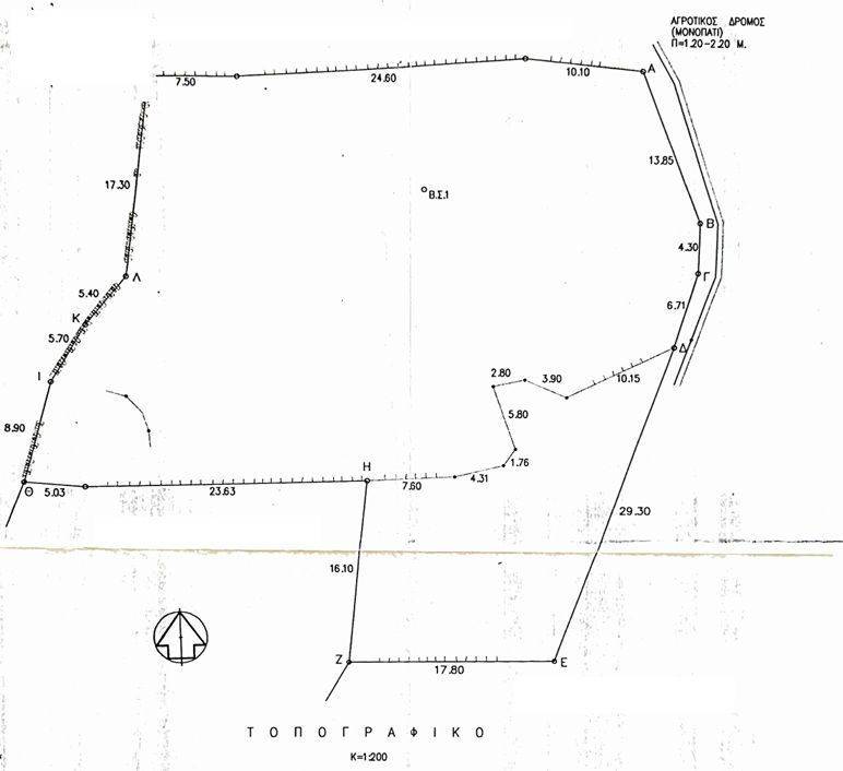 Survey diagram of the property