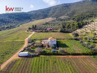 Εξωτερικοι χώροι