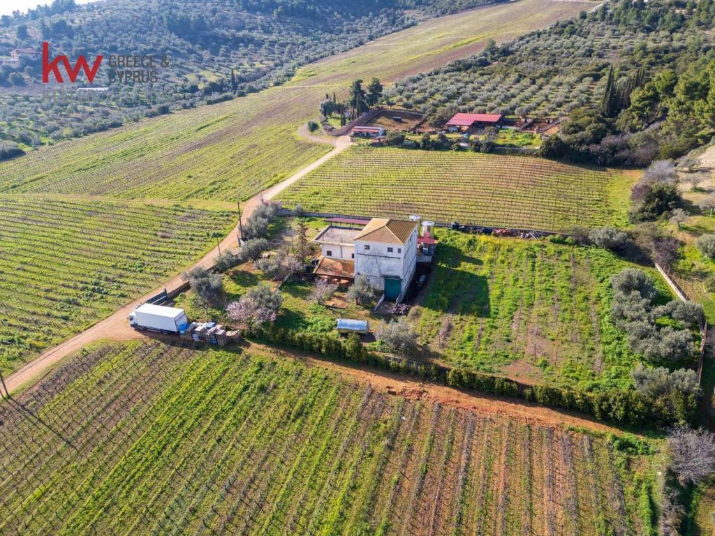 Εξωτερικοι χώροι