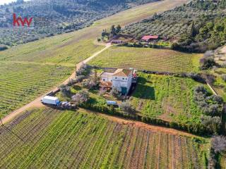 Εξωτερικοι χώροι