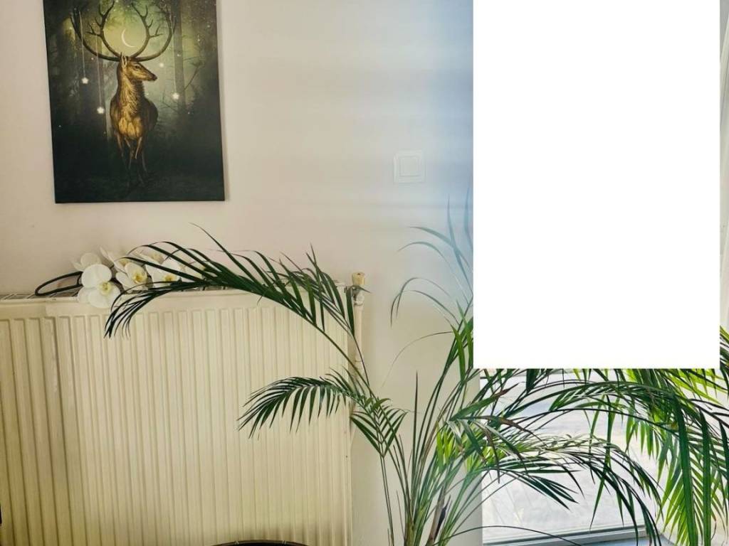 ΤΗΛΕΦΩΝΟ ΕΠΙΚΟΙΝΩΝΙΑΣ : 2310765495 // 6981242542  ΚΑΡΑΟΥΛΑΝΗ