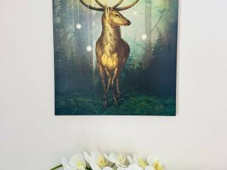 ΤΗΛΕΦΩΝΟ ΕΠΙΚΟΙΝΩΝΙΑΣ : 2310765495 // 6981242542  ΚΑΡΑΟΥΛΑΝΗ