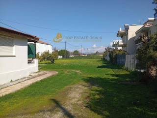 Sto bathos to oikopedo