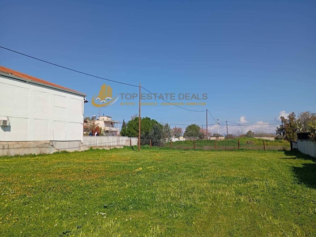 akribes these toy oikopedoy