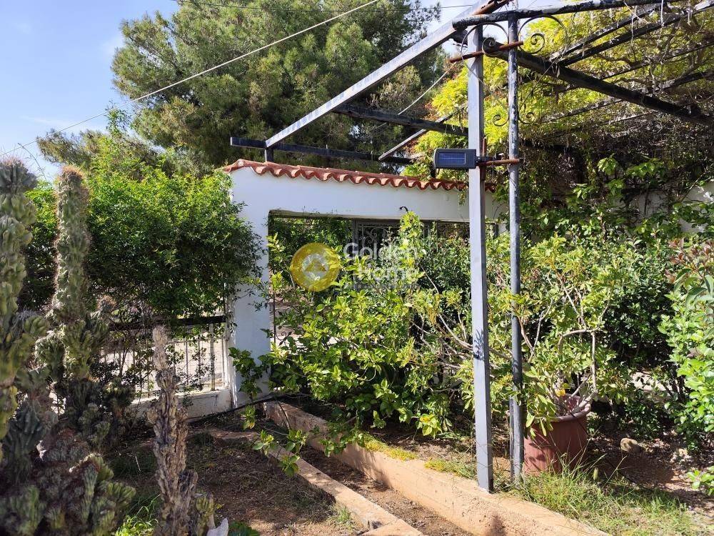 Εξωτερικός Χώρος