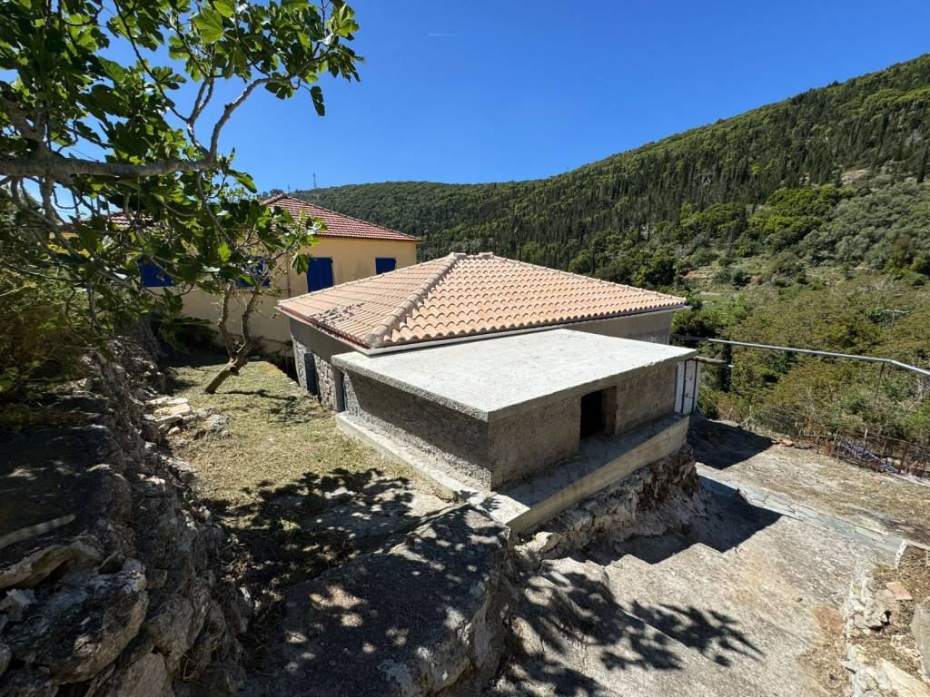 View from the back of the house