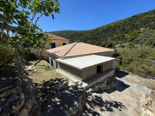 View from the back of the house