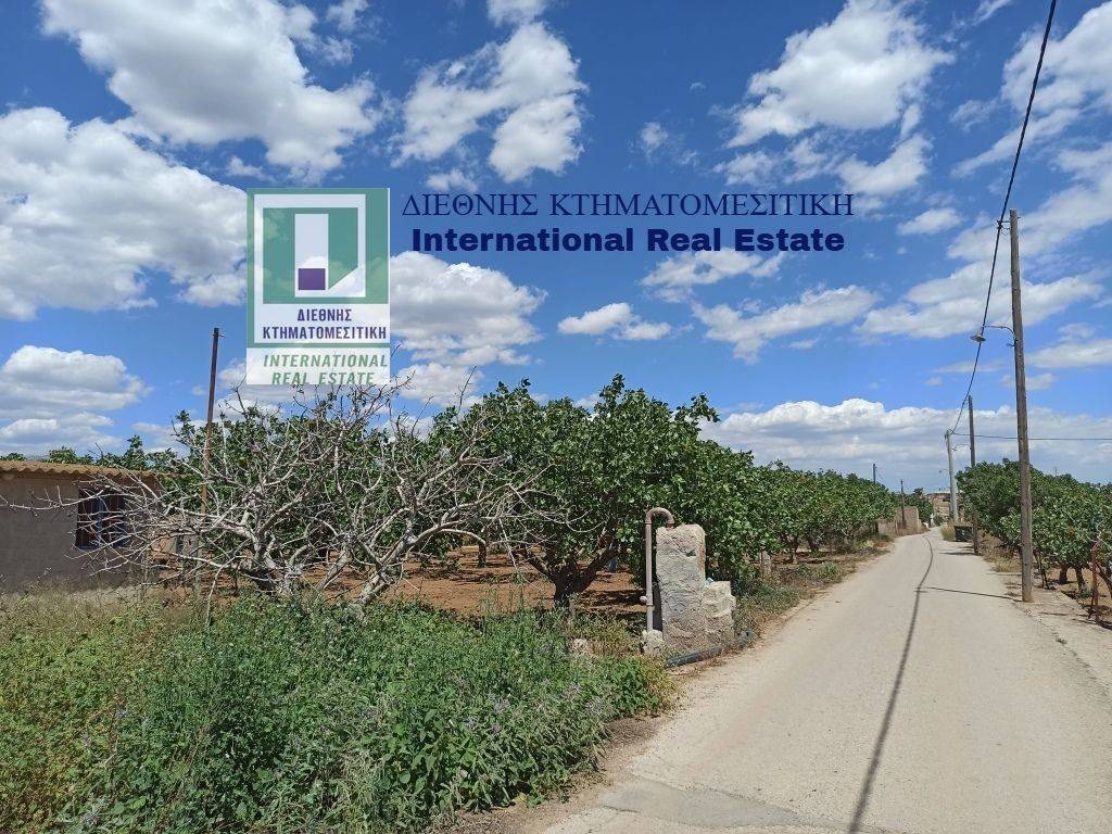 PROSOPSE 41 m. SE ASPHALTOSTROMENE ODO