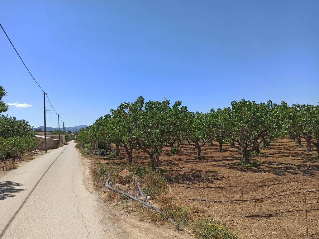 PROSOPSE 41 m. SE ASPHALTOSTROMENE ODO