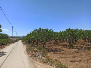 PROSOPSE 41 m. SE ASPHALTOSTROMENE ODO