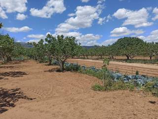 TMEMA TOY AGROTEMACHIOY