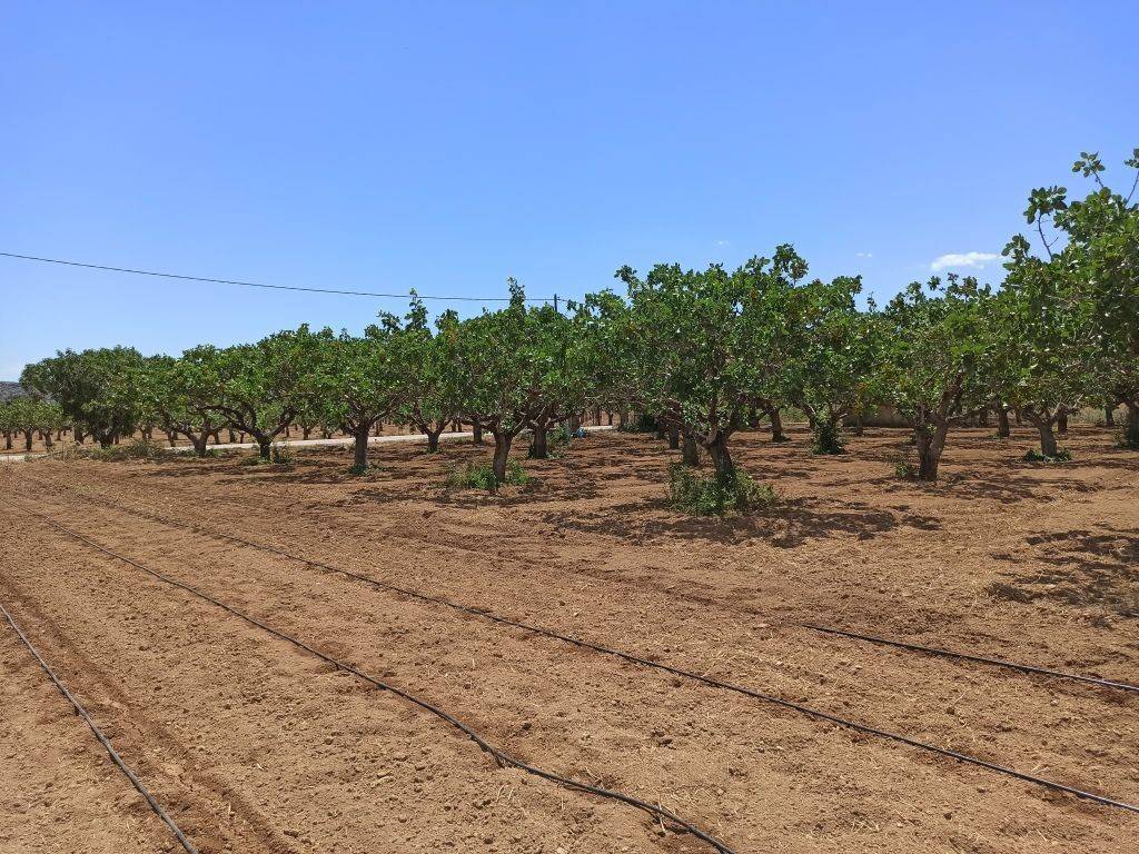 TMEMA TOY AGROTEMACHIOY